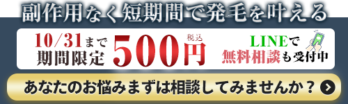 下部バナー500円