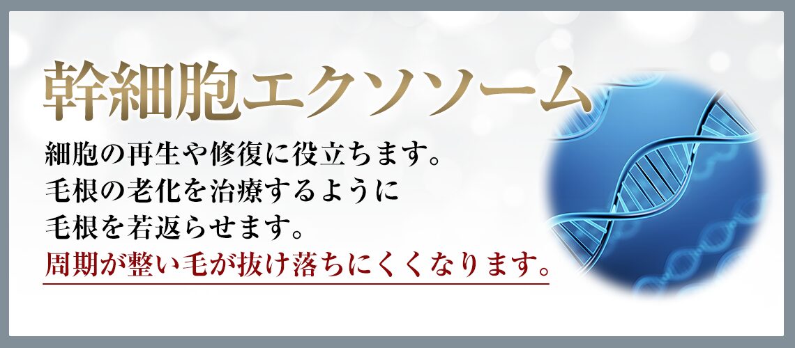 エクソソーム